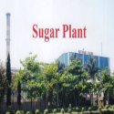 Natural Sugar and Allied Industries Ltd.,
